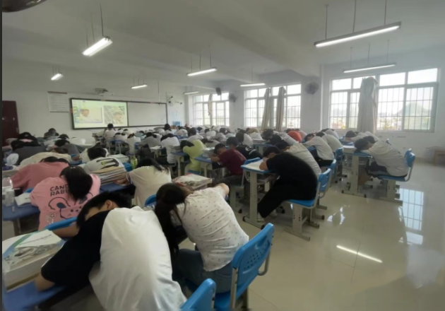 實際操作在內(nèi)的多樣化職業(yè)啟蒙課程滿足不同學(xué)生的興趣需求
