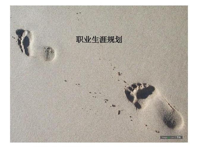 地面數(shù)字電視發(fā)射機(jī),單子葉植物有哪些 低碳環(huán)保圖片_7692電腦故障大全