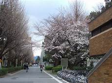東京大學研究生